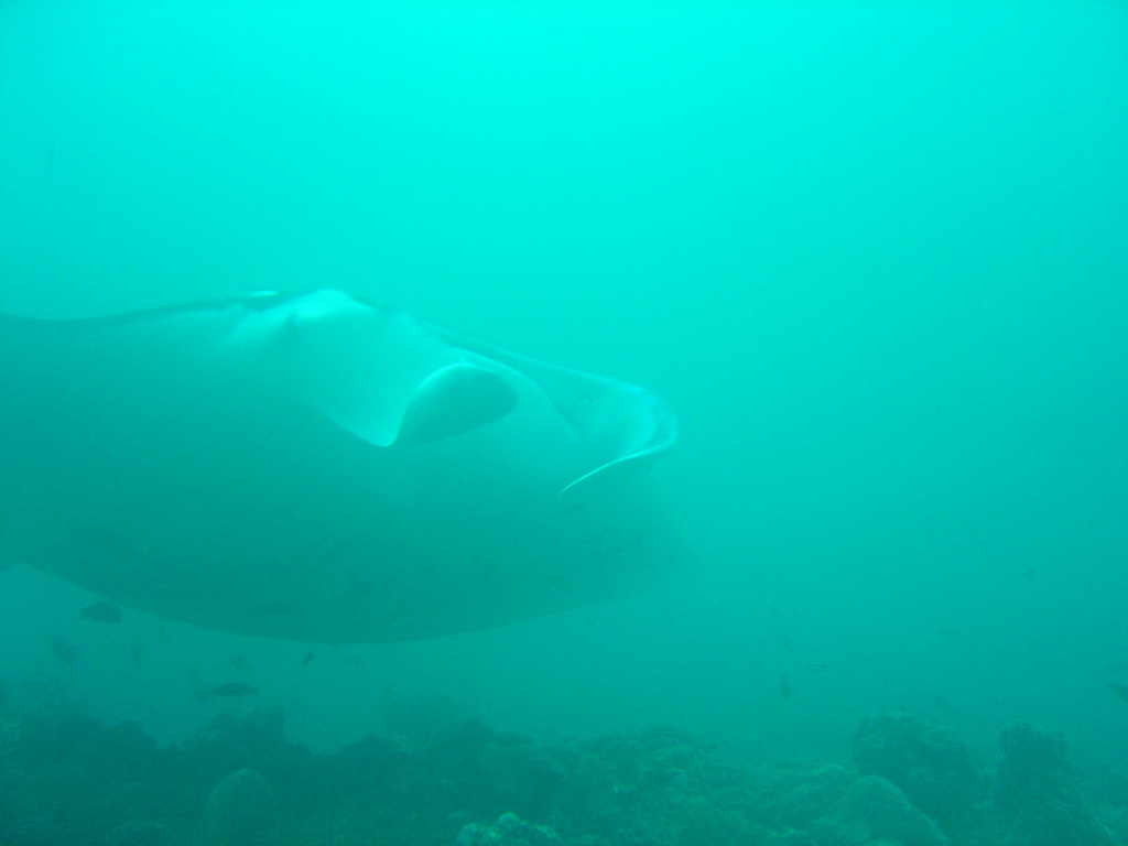 DSC00343.JPG