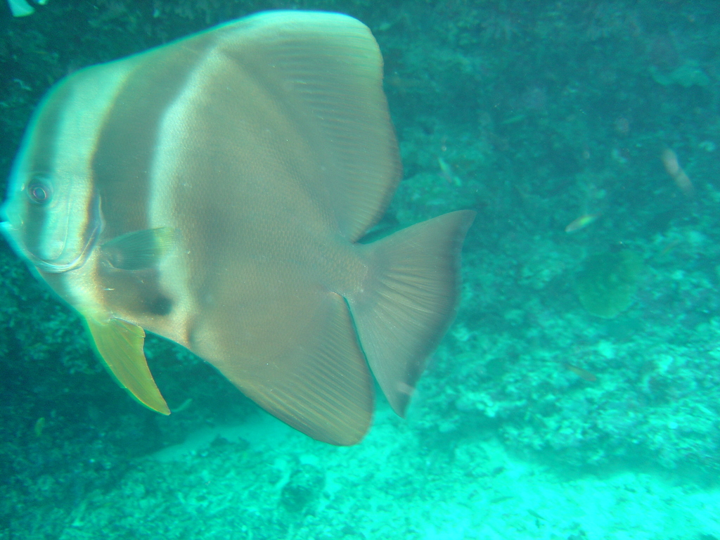 DSC00346.JPG