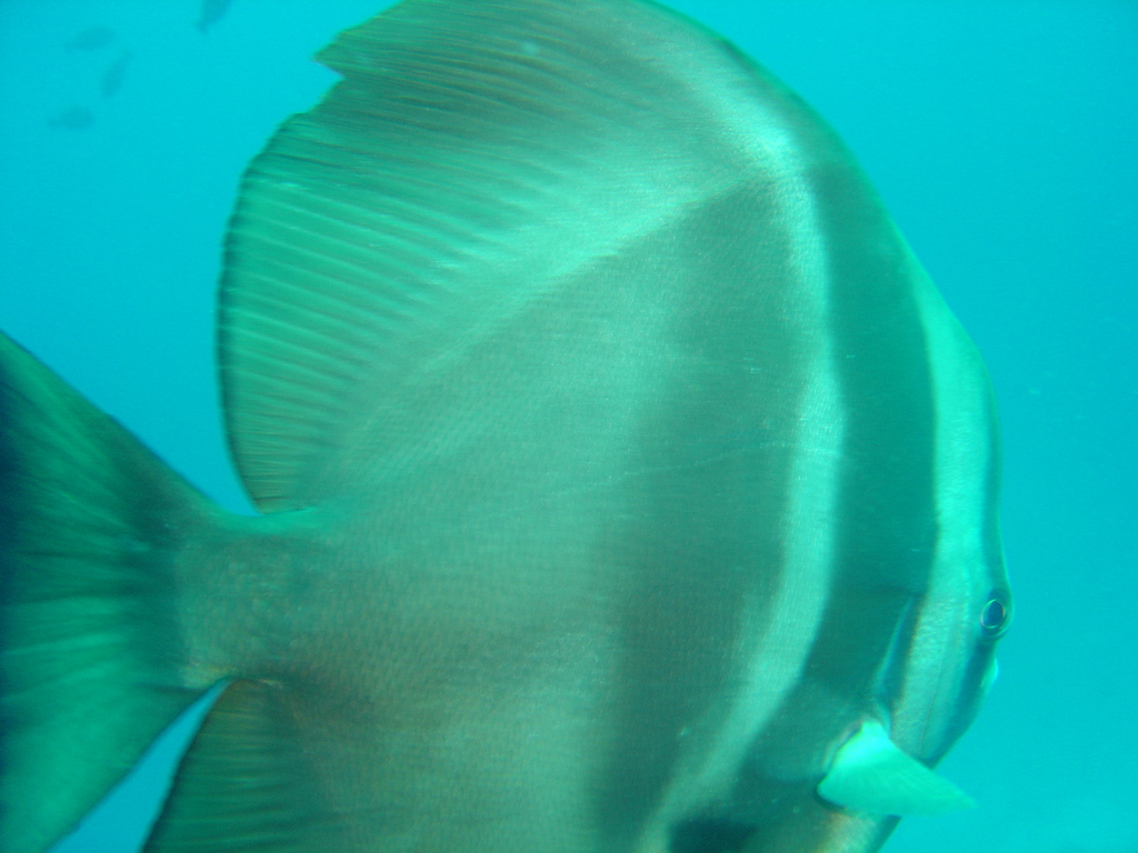 DSC00347.JPG