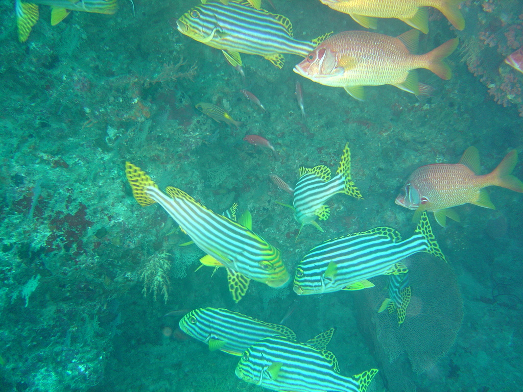 DSC00352.JPG