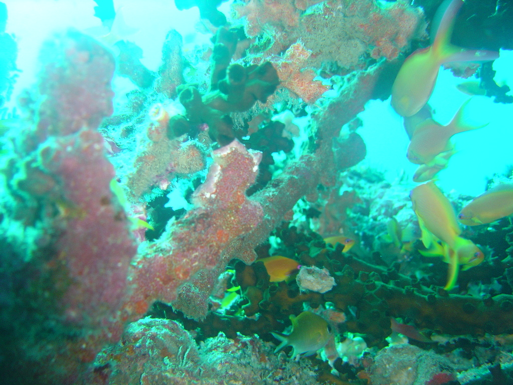 DSC00354.JPG