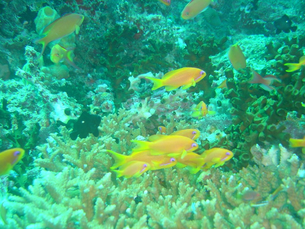 DSC00356.JPG