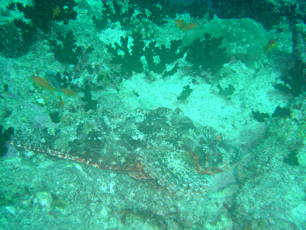 DSC00364.JPG