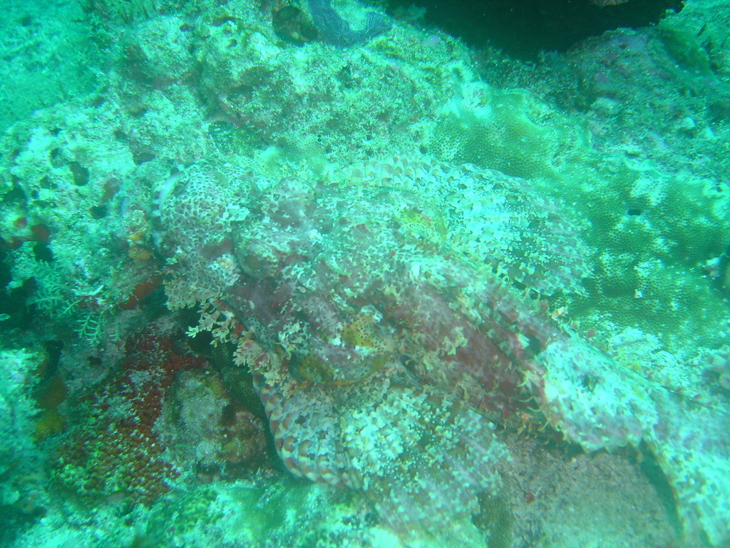 DSC00366.JPG