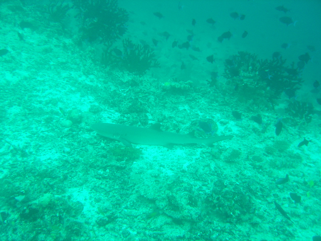 DSC00368.JPG