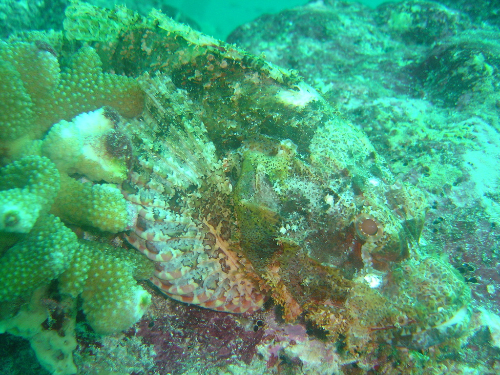 DSC00374.JPG