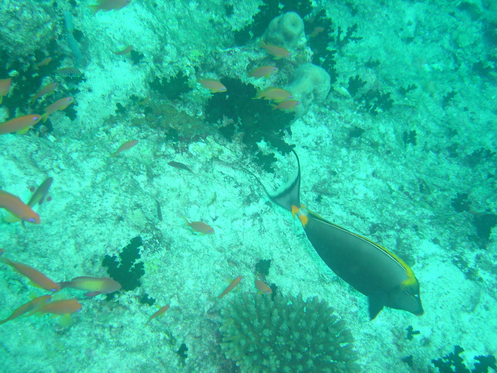 DSC00384.JPG