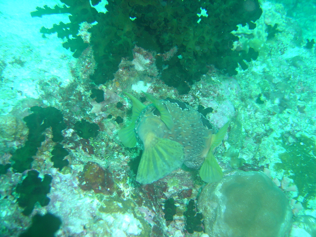 DSC00385.JPG