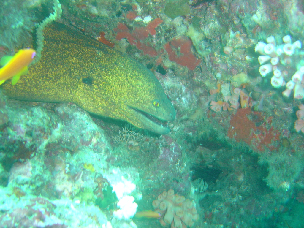 DSC00388.JPG