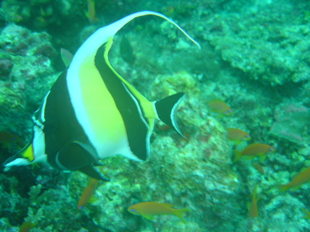 DSC00390.JPG