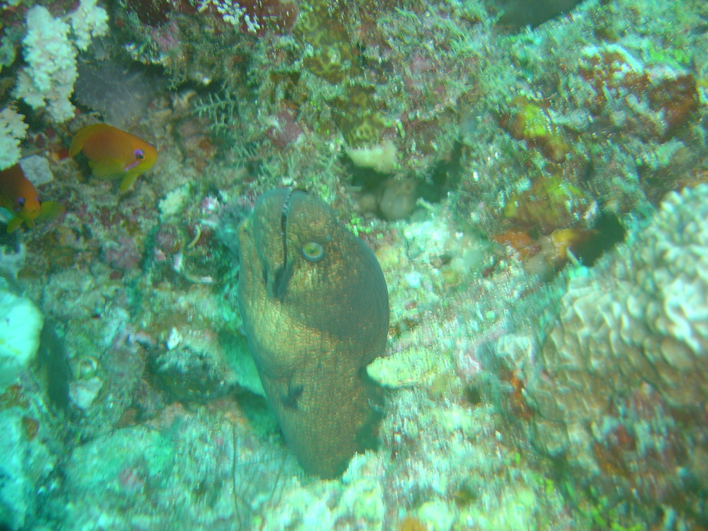 DSC00391.JPG