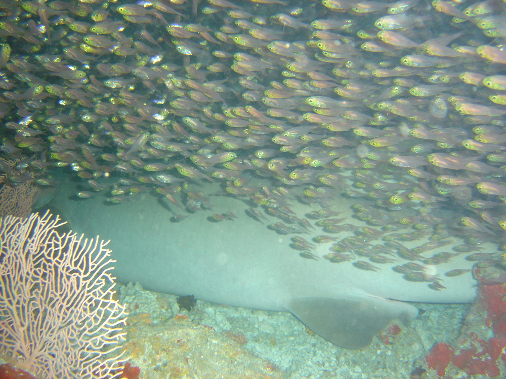 DSC00395.JPG