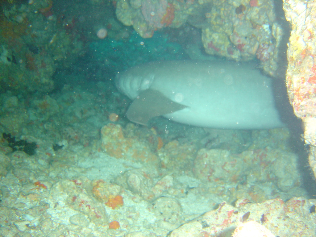 DSC00399.JPG