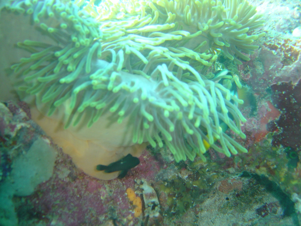 DSC00402.JPG