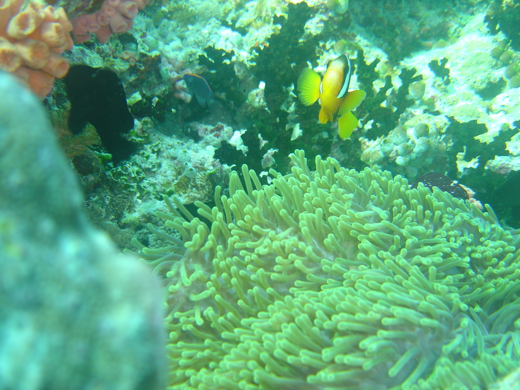 DSC00403.JPG