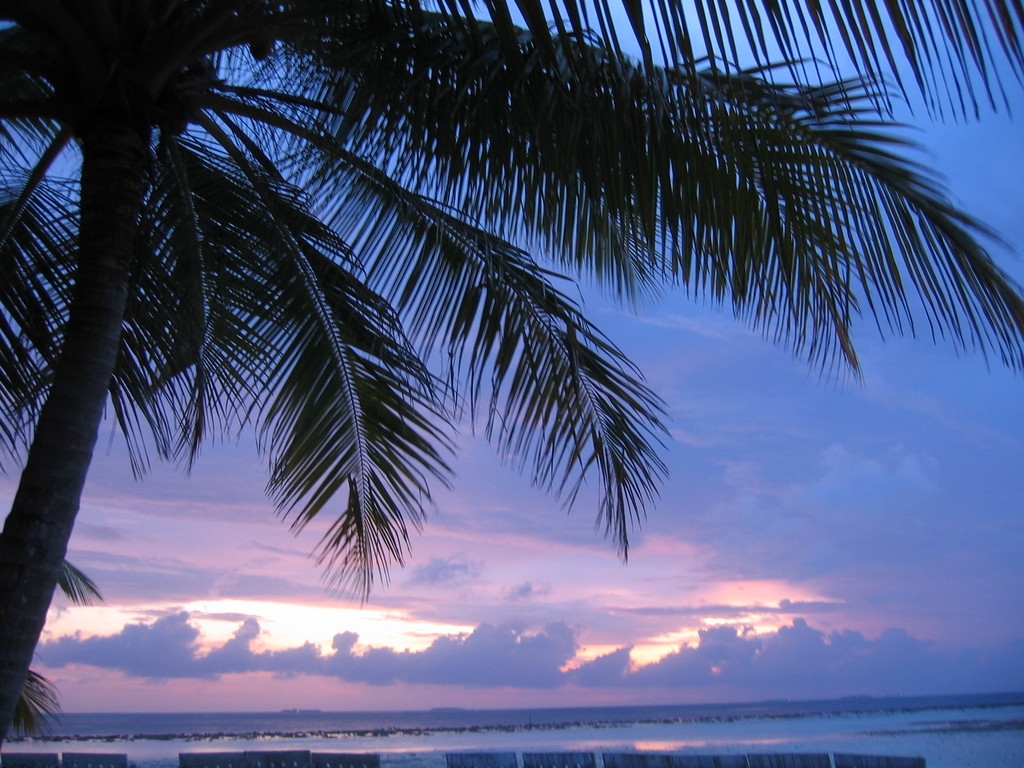 Vilamendhoo_2004_071.jpg