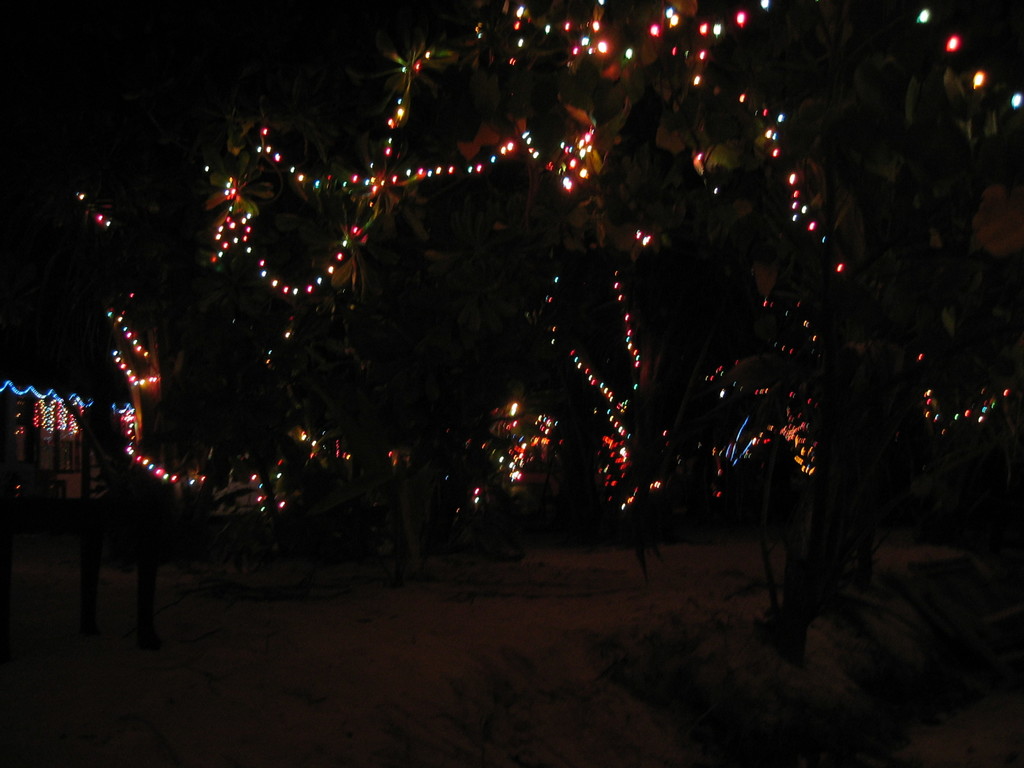Vilamendhoo_2004_183.jpg