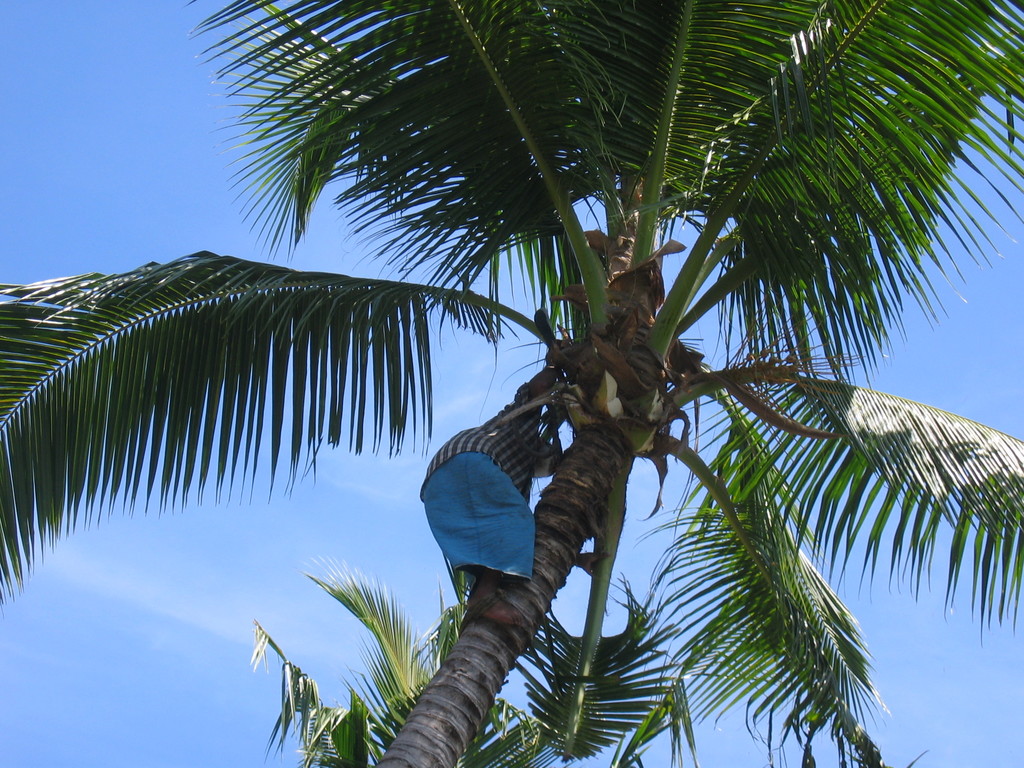 Vilamendhoo_2004_186.jpg