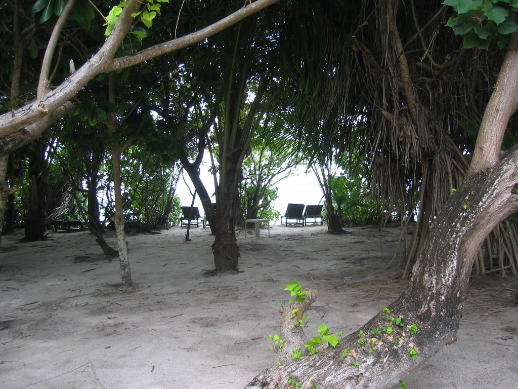 Vilamendhoo_2004_259.jpg