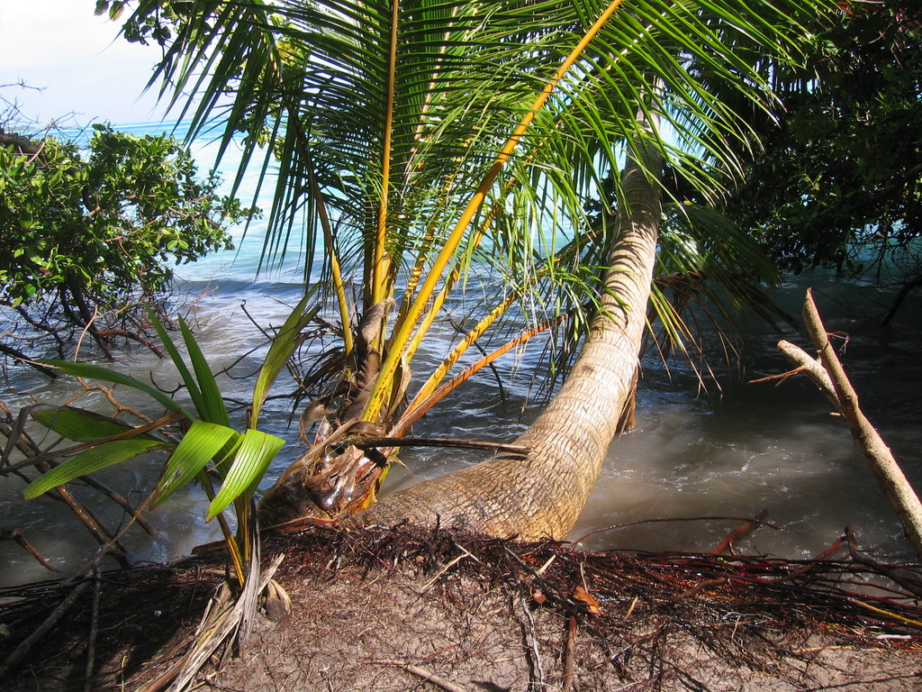 Vilamendhoo_Tsunami_2004_239.jpg