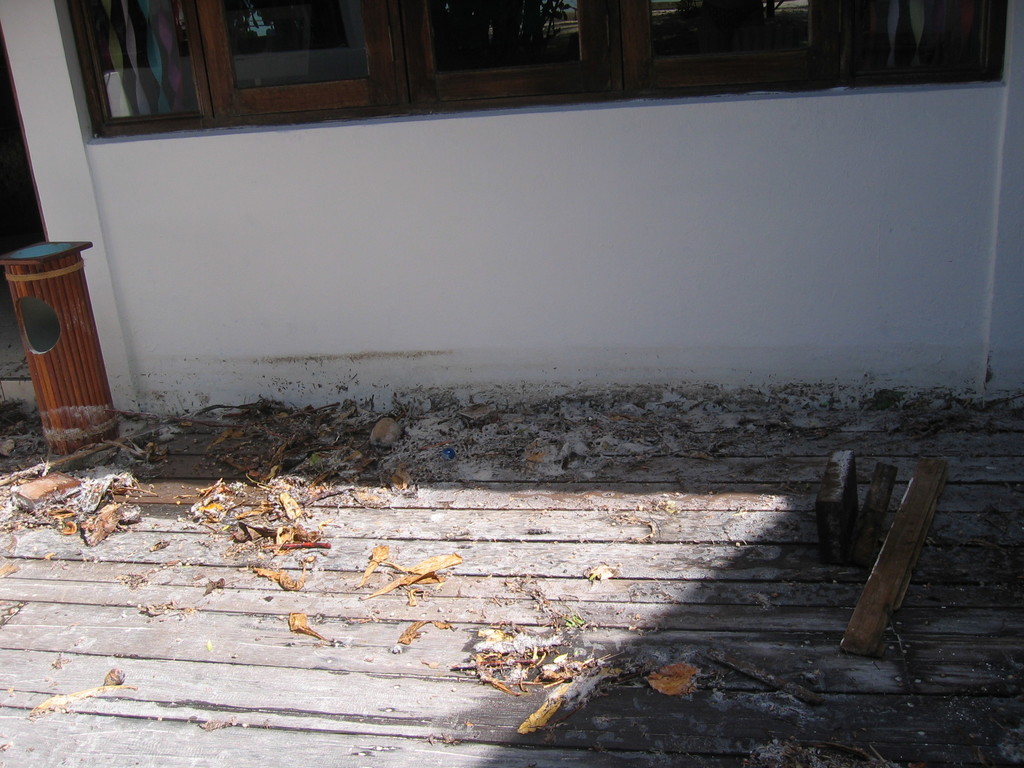 Vilamendhoo_Tsunami_2004_243.jpg