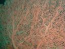 Filename=DSC00027.JPG
Filesize=521KiB
Dimensions=1024x768
Date added=Aug 05, 2014 DSC00027.JPG