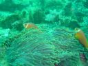 DSC00038.JPG
