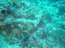Dateiname=DSC00051.JPG
Dateigröße=510KB
Abmessungen: 1024x768
hinzugefügt am: 05. August 2014 DSC00051.JPG