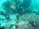Dateiname=DSC00064.JPG
Dateigröße=530KB
Abmessungen: 1024x768
hinzugefügt am: 05. August 2014 DSC00064.JPG