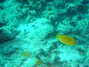DSC00065.JPG
