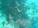 Dateiname=DSC00066.JPG
Dateigröße=520KB
Abmessungen: 1024x768
hinzugefügt am: 05. August 2014 DSC00066.JPG