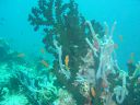 Dateiname=DSC00071.JPG
Dateigröße=445KB
Abmessungen: 1024x768
hinzugefügt am: 05. August 2014 DSC00071.JPG