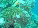 Dateiname=DSC00072.JPG
Dateigröße=501KB
Abmessungen: 1024x768
hinzugefügt am: 05. August 2014 DSC00072.JPG