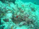 Dateiname=DSC00079.JPG
Dateigröße=494KB
Abmessungen: 1024x768
hinzugefügt am: 05. August 2014 DSC00079.JPG