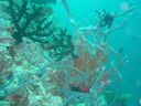 Dateiname=DSC00080.JPG
Dateigröße=447KB
Abmessungen: 1024x768
hinzugefügt am: 05. August 2014 DSC00080.JPG