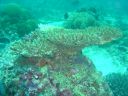 DSC00086.JPG