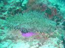 DSC00089.JPG