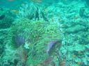 DSC00090.JPG