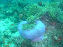 DSC00091.JPG