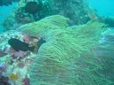 DSC00092.JPG