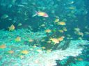 DSC00096.JPG