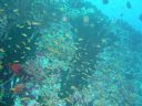 DSC00101.JPG