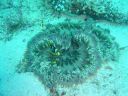 DSC00104.JPG