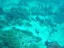 DSC00105.JPG