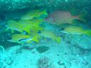 DSC00107.JPG