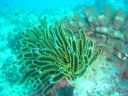 DSC00108.JPG