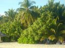 DSC00114.JPG
