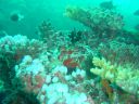 Dateiname=DSC00136.JPG
Dateigröße=463KB
Abmessungen: 1024x768
hinzugefügt am: 05. August 2014 DSC00136.JPG