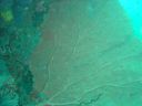 Dateiname=DSC00137.JPG
Dateigröße=472KB
Abmessungen: 1024x768
hinzugefügt am: 05. August 2014 DSC00137.JPG