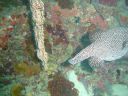 Dateiname=DSC00140.JPG
Dateigröße=525KB
Abmessungen: 1024x768
hinzugefügt am: 05. August 2014 DSC00140.JPG